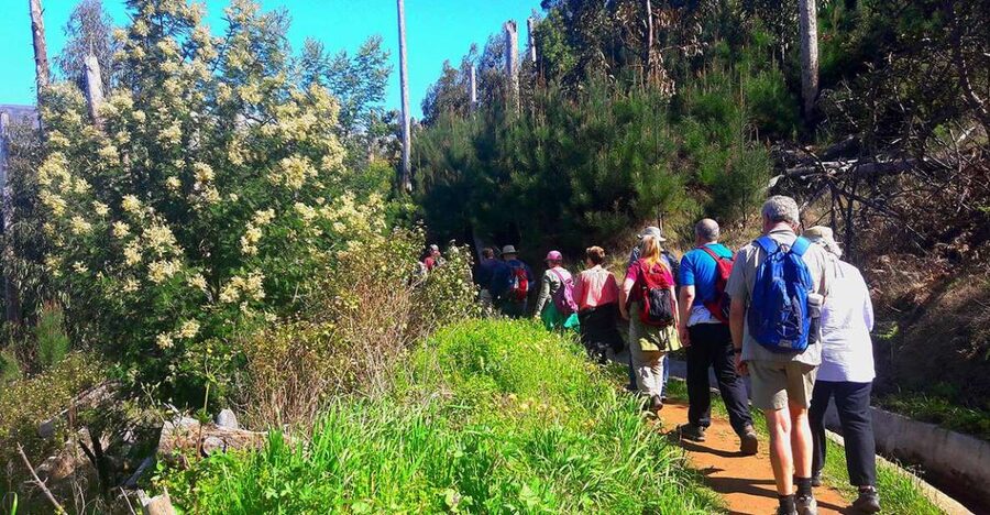 Serra de Água Valley Levada Walk - Following the levada through fields and trees