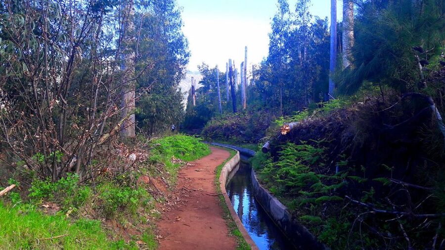 Serra de Água Valley Levada Walk - How difficult is the 5km route?