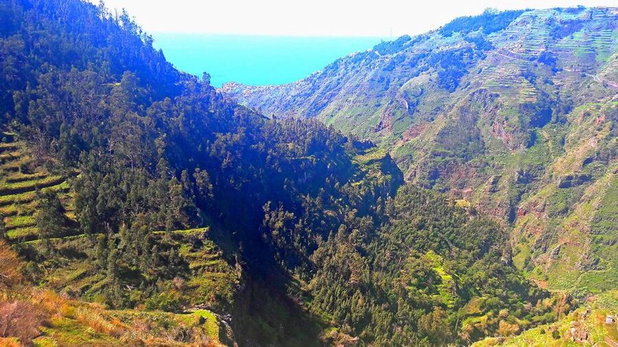 Serra de Água Valley Levada Walk - Is the $38 price good value?