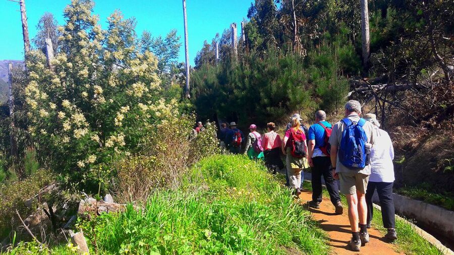 Serra de Água Valley Levada Walk - Starting high in Serra de Água Valley