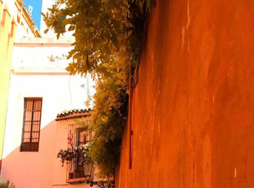 Seville: 1-Hour Walking Tour Barrio de Santa Cruz - My recommendation