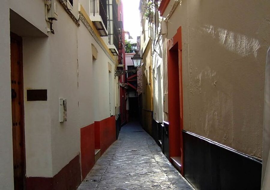 Seville: 1-Hour Walking Tour Barrio de Santa Cruz - What the guide adds to the hour