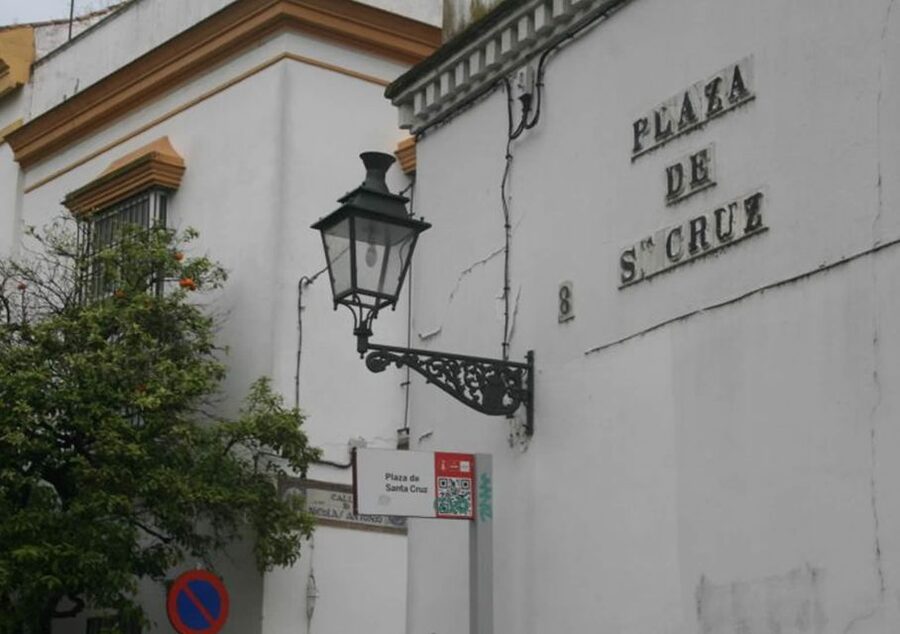 Seville: 1-Hour Walking Tour Barrio de Santa Cruz - Who should book this Seville walk?