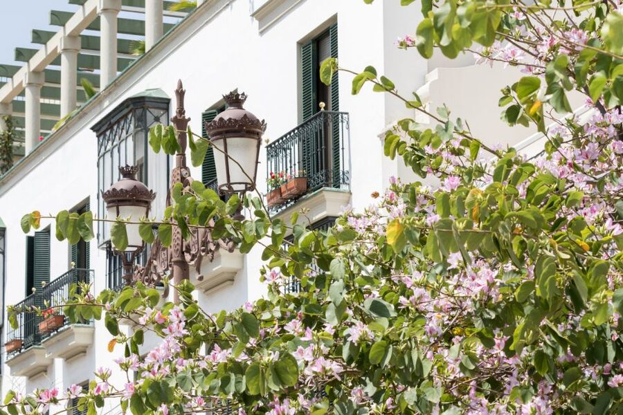 Seville Jewish Quarter walking tour: Santa Cruz District - Rosina’s Balcony and the opera in the streets
