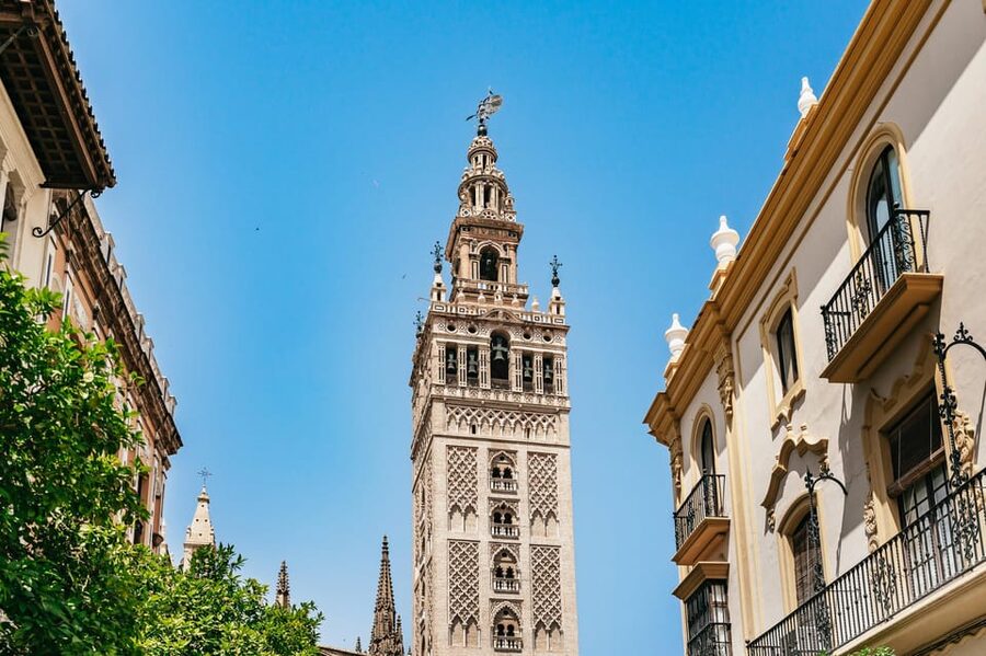 Seville: Tapas, Taverns and History Guided Walking Tour - Who should book this food walk