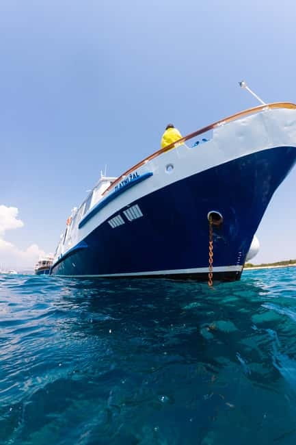 Shipwreck - Blue Lagoon All Inclusive + Trogir Walking Tour - Who will enjoy this day most