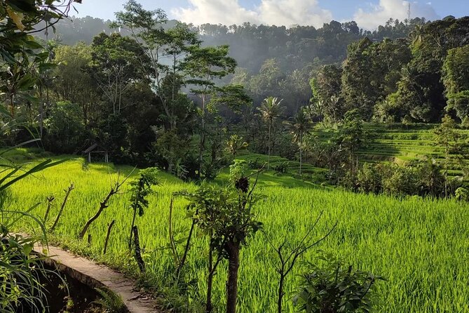 Sidemen Trekking: A Walk from a Different Perspective - Understanding Subak irrigation in Ogang