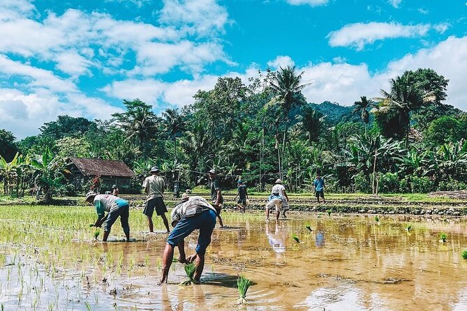 Sidemen Trekking: A Walk from a Different Perspective - Price, group size, and what is included