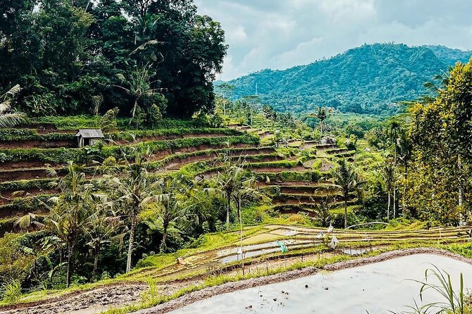 Sidemen Trekking: A Walk from a Different Perspective - Starting at Sidemen Traditional Market