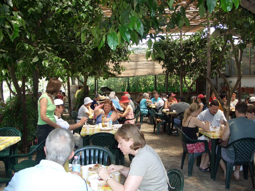 Sorrento: Walking Tour in Lemon Garden w/ Food Tasting - Who will enjoy this farm visit most?