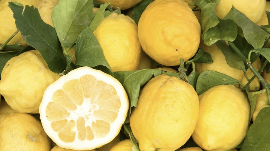 Sorrento: Walking Tour in Lemon Garden w/ Food Tasting - From Vallone dei Mulini to the Sorrento hills
