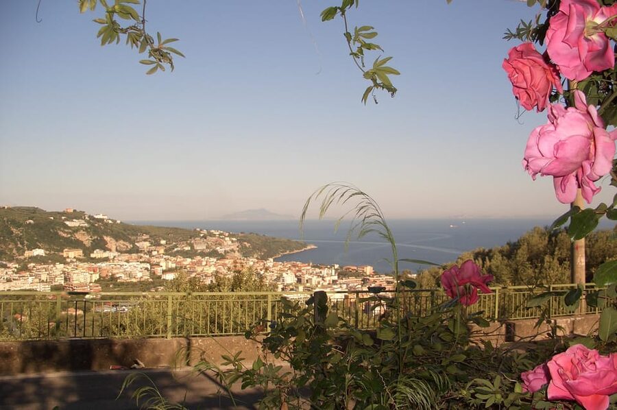 Sorrento: Walking Tour in Lemon Garden w/ Food Tasting - A tasting that turns into lunch