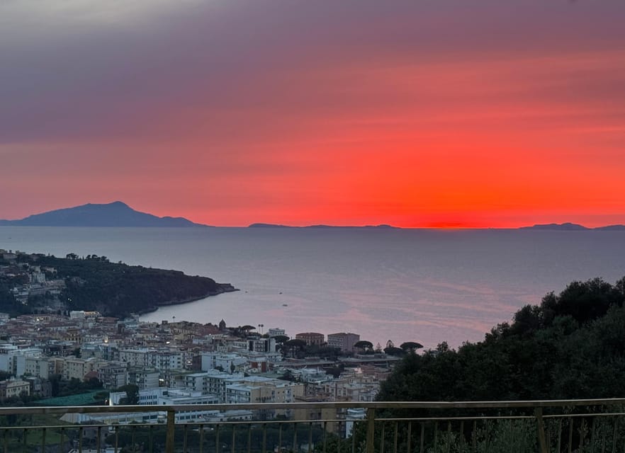 Sorrento: Walking Tour in Lemon Garden w/ Food Tasting - Limoncello, marmalade, and the farm shop