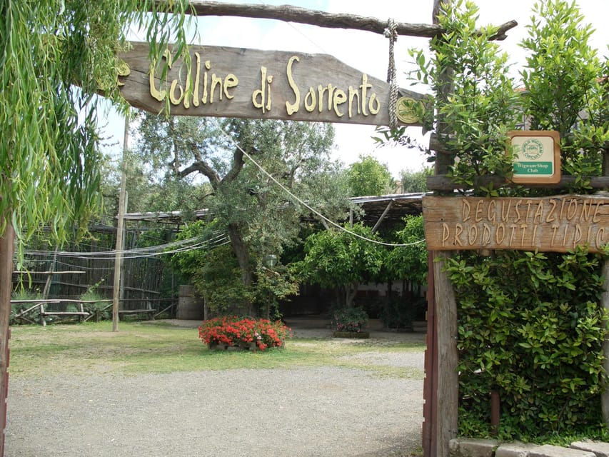 Sorrento: Walking Tour in Lemon Garden w/ Food Tasting - Why the family guides matter