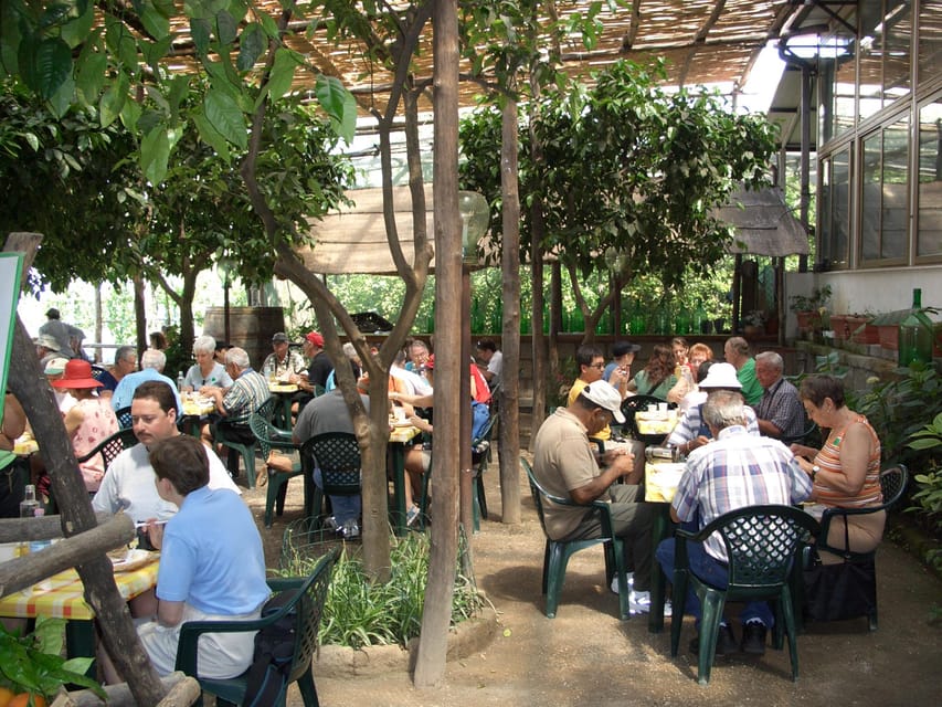 Sorrento: Walking Tour in Lemon Garden w/ Food Tasting - Is $81 a fair price?