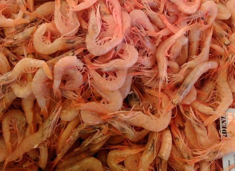 Split: Food Tasting Walking Tour - Peškarija and the salty side of Dalmatian brunch