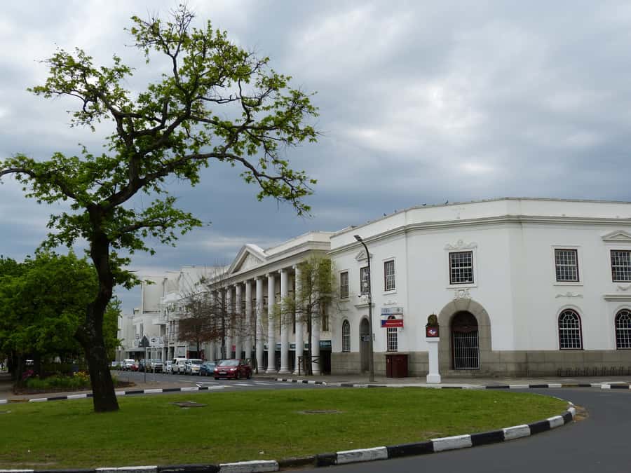Stellenbosch: Guided Historical Walking Tour - The oak avenues make the town’s history feel close