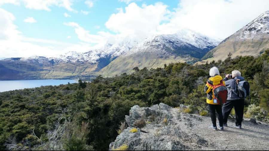 Stevensons Island 2-Hour Cruise and Nature Walk - Should you book Stevensons Island?