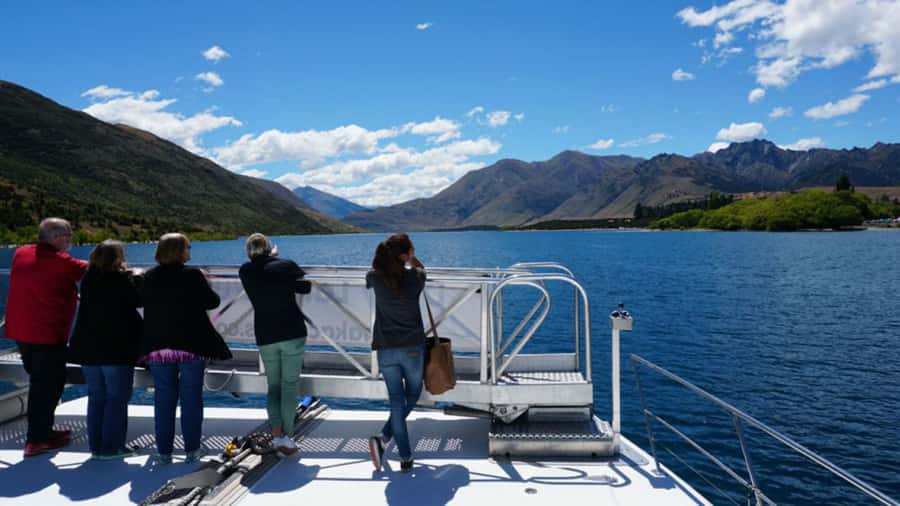 Stevensons Island 2-Hour Cruise and Nature Walk - Is $50 a fair price?