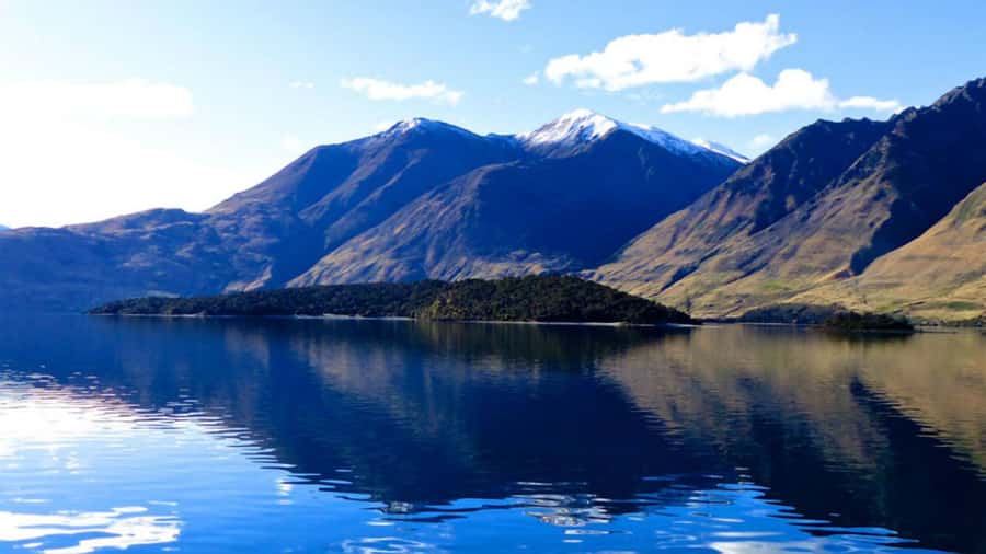 Stevensons Island 2-Hour Cruise and Nature Walk - Who should choose this Lake Wānaka cruise?
