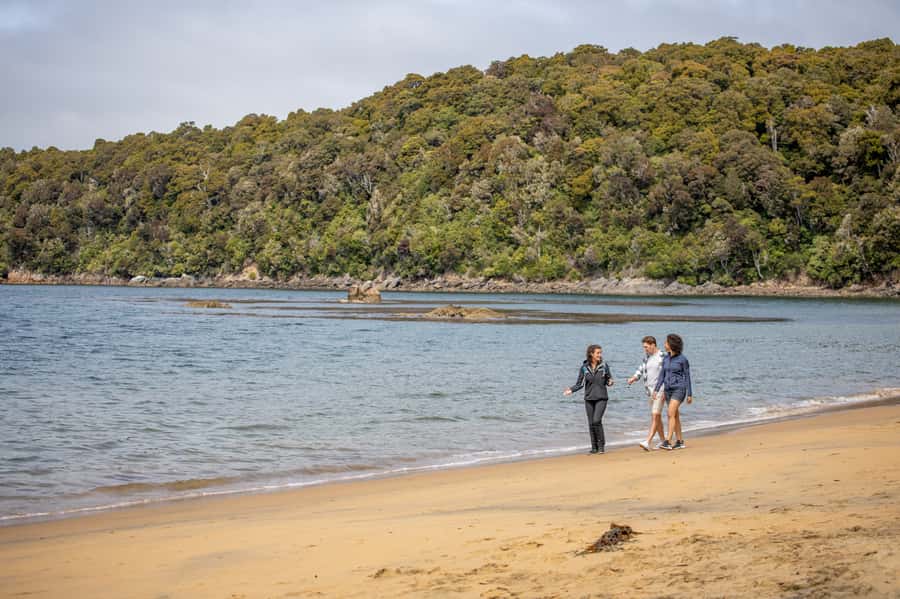 Stewart Island: Ulva Island Guided Wilderness Walk & Cruise - Why Ulva Island works so well as a short outing
