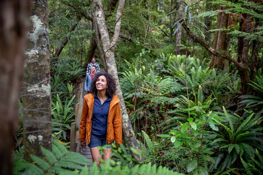 Stewart Island: Ulva Island Guided Wilderness Walk & Cruise - Should you book it?