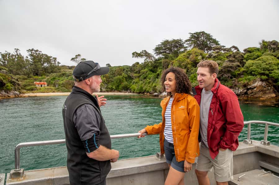 Stewart Island: Ulva Island Guided Wilderness Walk & Cruise - Cruising through Paterson Inlet