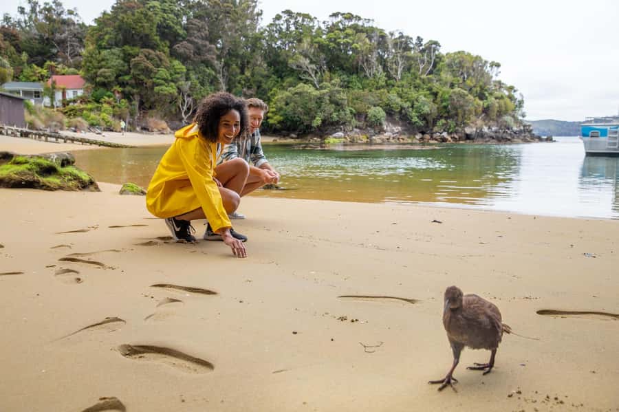 Stewart Island: Ulva Island Guided Wilderness Walk & Cruise - What the guides add to the walk