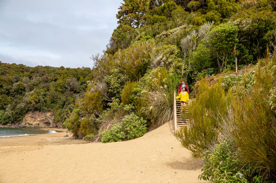 Stewart Island: Ulva Island Guided Wilderness Walk & Cruise - Is $86 a fair price?