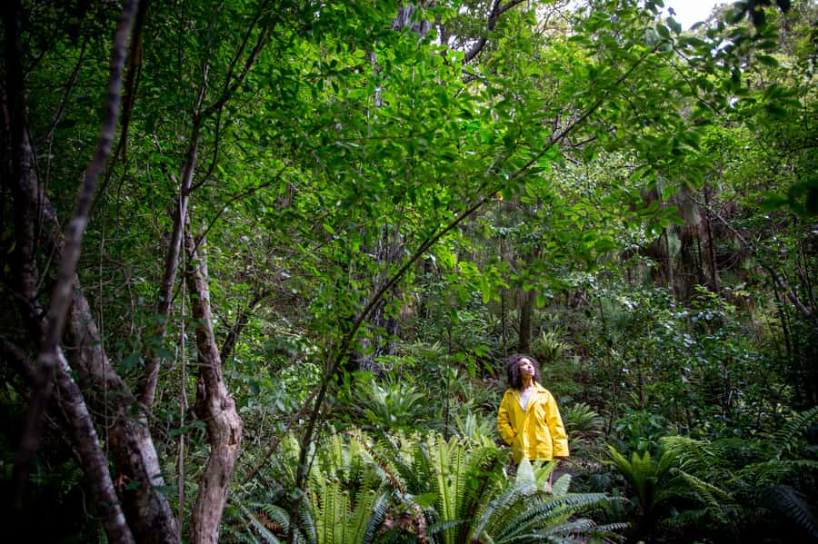 Stewart Island: Ulva Island Guided Wilderness Walk & Cruise - Weather, clothing, and practical planning