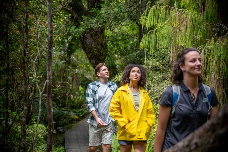 Stewart Island: Ulva Island Guided Wilderness Walk & Cruise - Who should book this Stewart Island tour?
