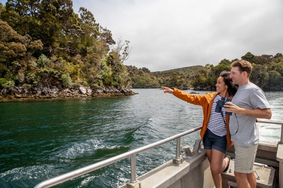 Stewart Island: Ulva Island Guided Wilderness Walk & Cruise - Who may prefer another option?