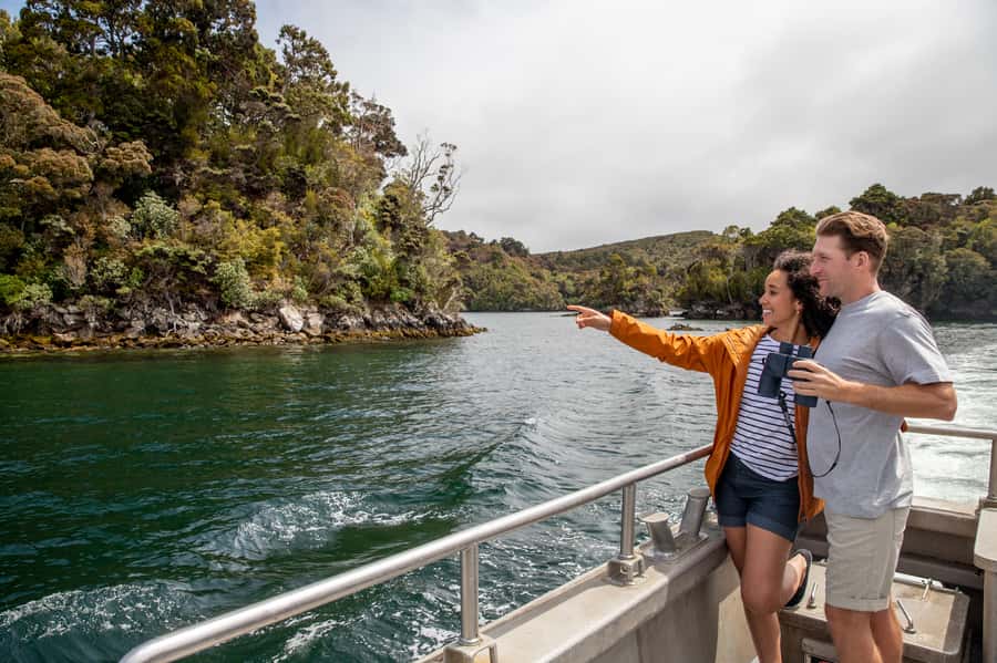 Stewart Island: Ulva Island Guided Wilderness Walk & Cruise - Stepping ashore on Ulva Island