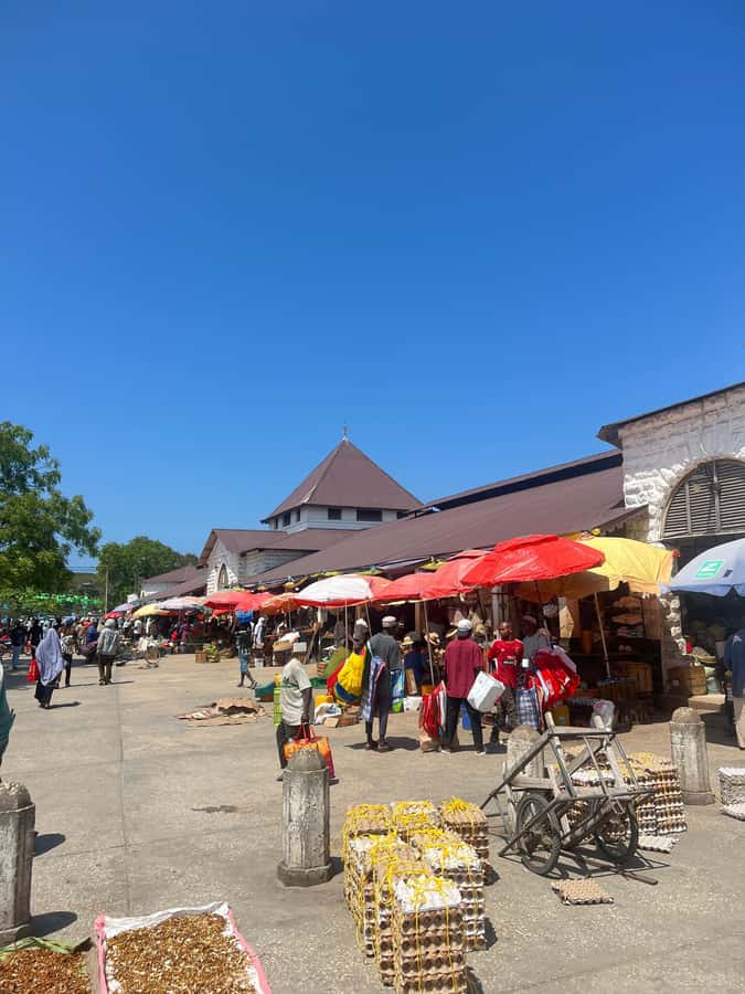Stone Town's Hidden History: Private Guided Walking Tour - House of Wonders, Palace Museum, and the Old Fort