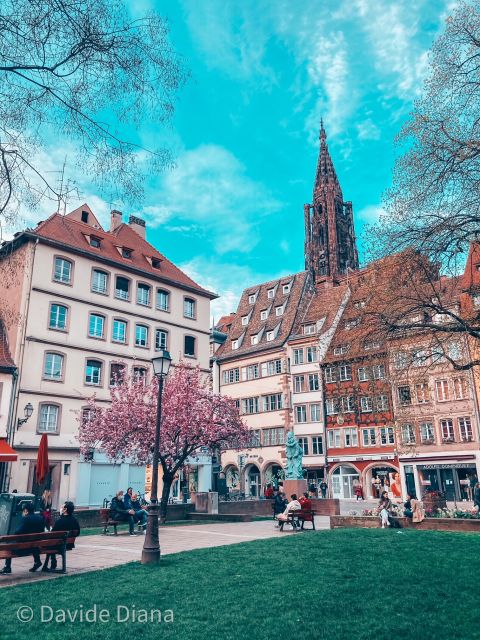 Strasbourg: Guided Historical Neighborhoods Walking Tour - Pace, group size, and weather
