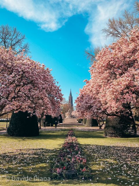 Strasbourg: Guided Historical Neighborhoods Walking Tour - Starting at Place de la République and entering Neustadt