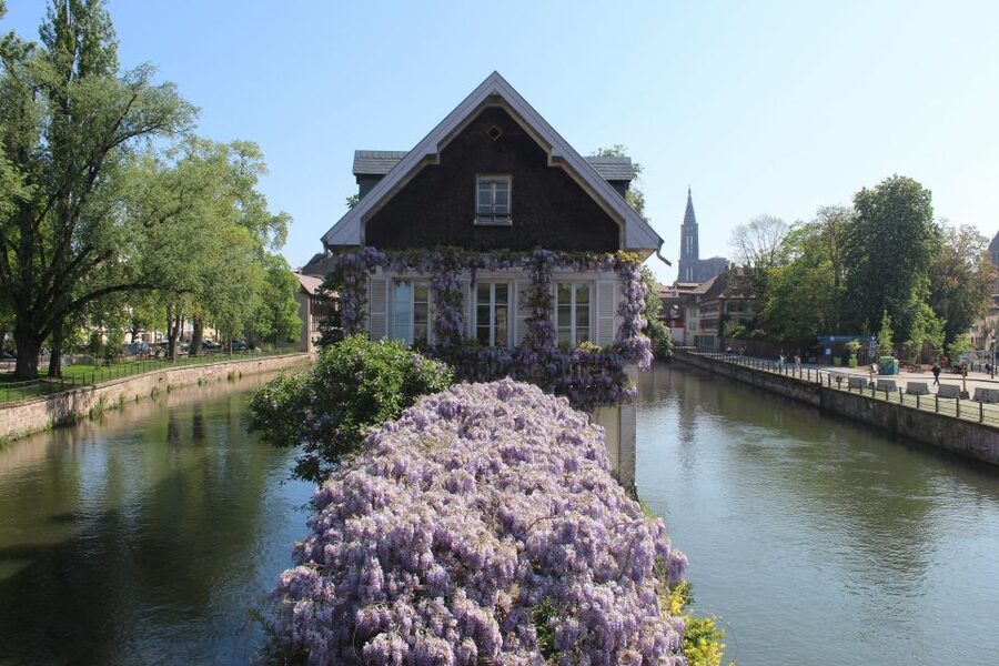 Strasbourg: Walking Tour with Local Guide - From Place d’Austerlitz to the Ponts Couverts