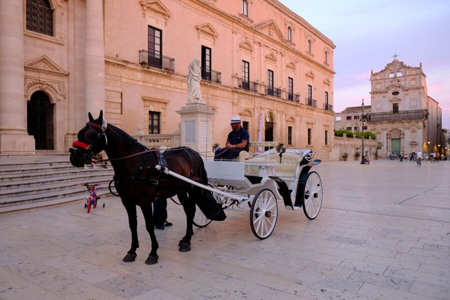 Syracuse: Highlights of Ortigia Guided Walking Tour - Who should book this Ortigia walk?