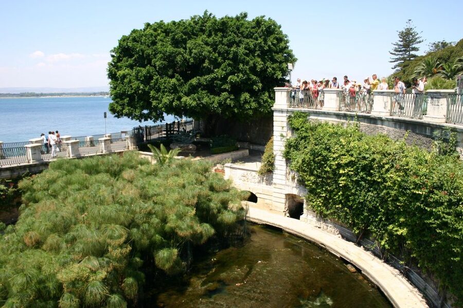 Syracuse: Ortigia Classic Walking Tour - Key points to know before you book