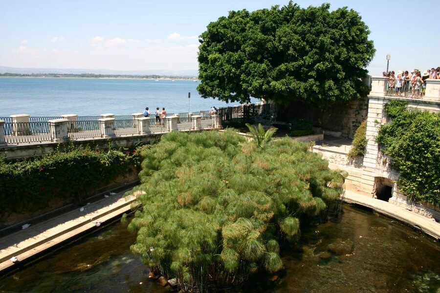 Syracuse: Ortigia Private Walking Tour - Jewish Quarter, Via Maestranza, and Piazza Archimede