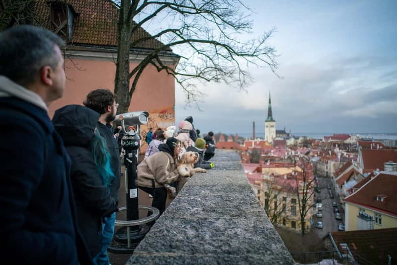 Tallinn: 1.5-Hour Old Town Walking Tour - Gothic churches, narrow streets, and fortified walls