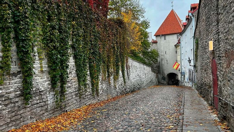 Tallinn: Guided Old Town Historical Walking Tour - Guilds, trade, and the Old Town Pharmacy