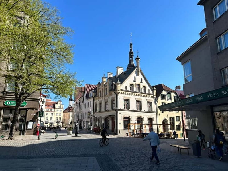 Tallinn: Medieval Walking Tour - The viewpoints: Kohtuotsa and Patkuli Stairs