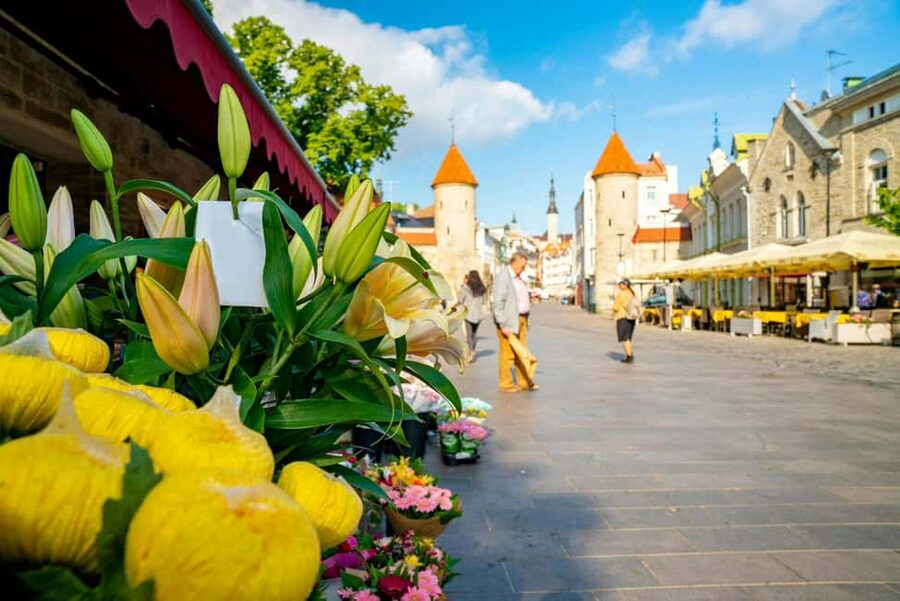 Tallinn Old Town: Stories and Views 2‑Hour Walking Tour - Starting beneath Tallinn’s Town Hall tower