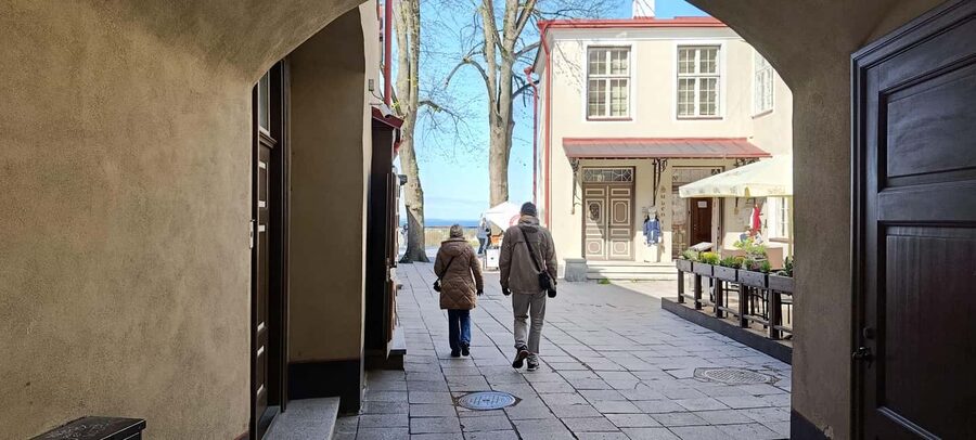 Tallinn: Private Walking Tour with a Local - Price and what the $56 covers