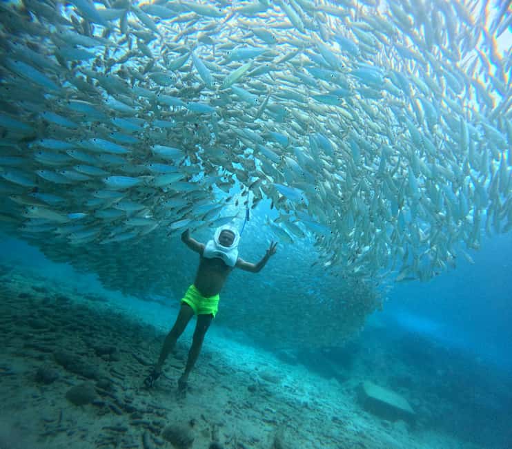 Tenerife: Underwater Walk - Sea Trek Experience - Key points to know before booking