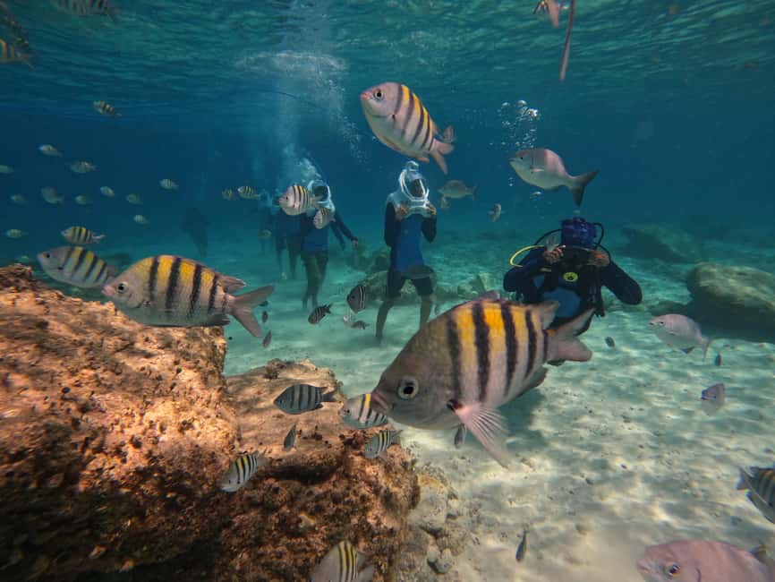 Tenerife: Underwater Walk - Sea Trek Experience - What the Sea Trek helmet really changes