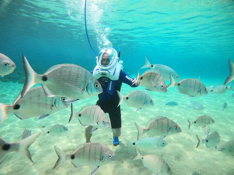 Tenerife: Underwater Walk - Sea Trek Experience - Is $90 good value?