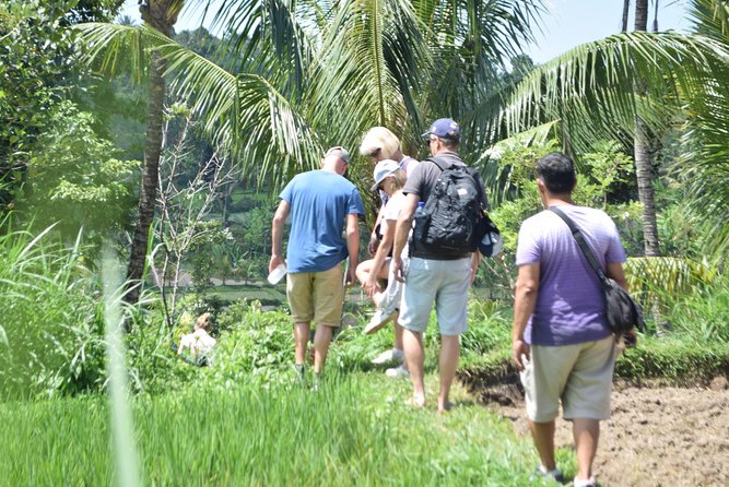 Tetebatu Walking Tour - Rice Terraces, Waterfall & Monkey Forest - Why Tetebatu works better on foot