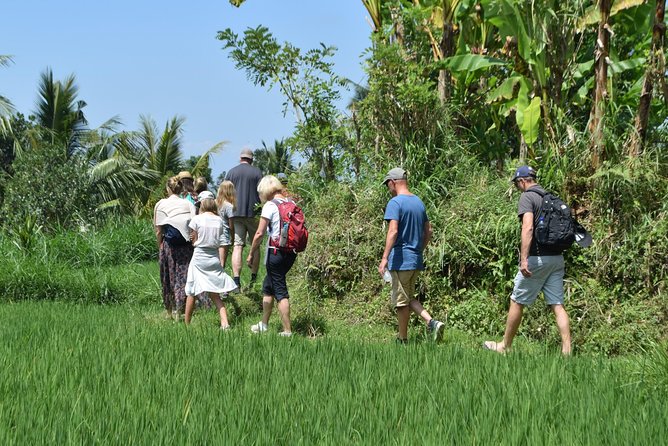 Tetebatu Walking Tour - Rice Terraces, Waterfall & Monkey Forest - Black and gray monkeys in the Rinjani forest